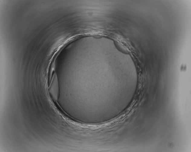 X0000098210002200805081145