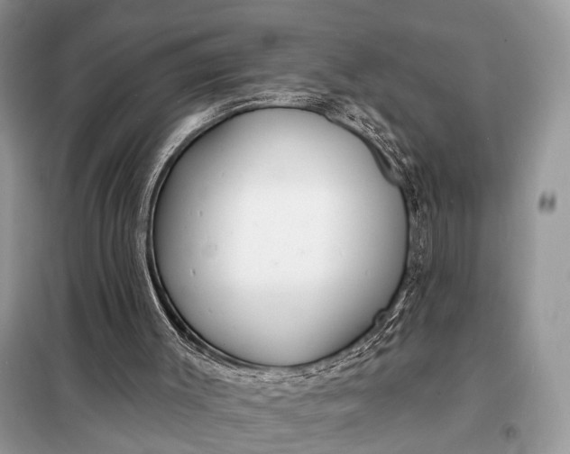 X0000098210003200805081145