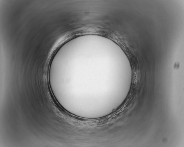 X0000098210004200805081145