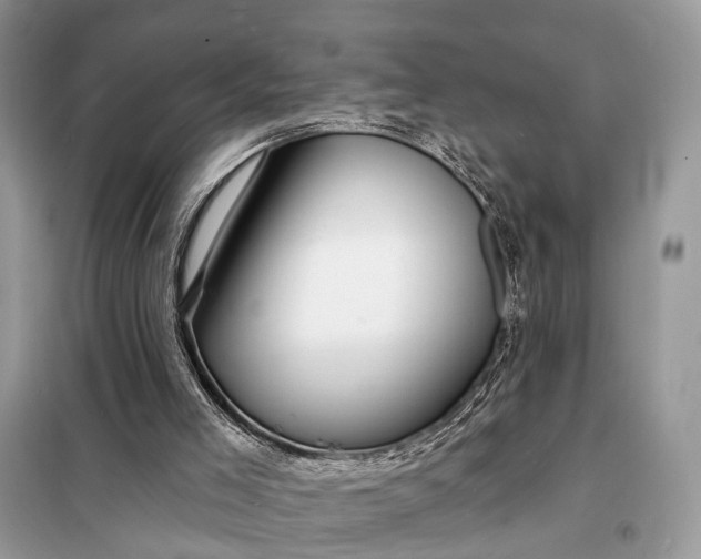 X0000098210005200805081145