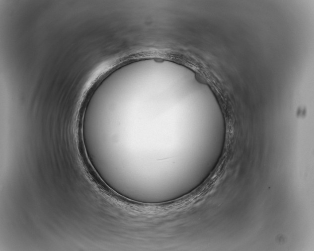X0000098210006200805081145