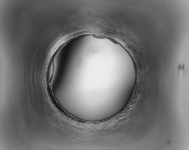 X0000098210007200805081145