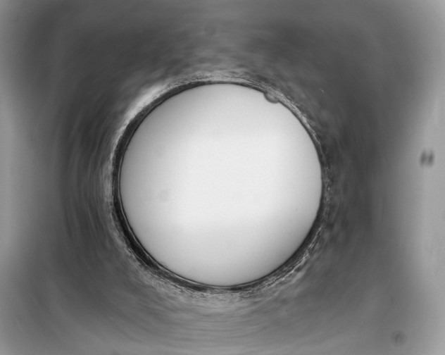 X0000098210008200805081145