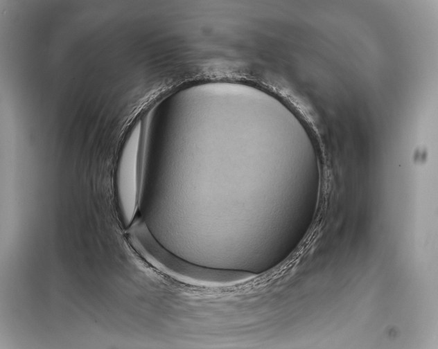 X0000098210009200805081145