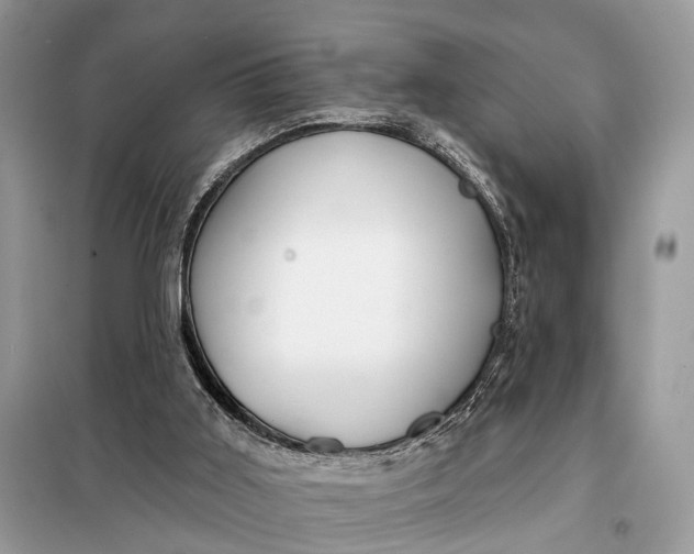 X0000098210011200805081145