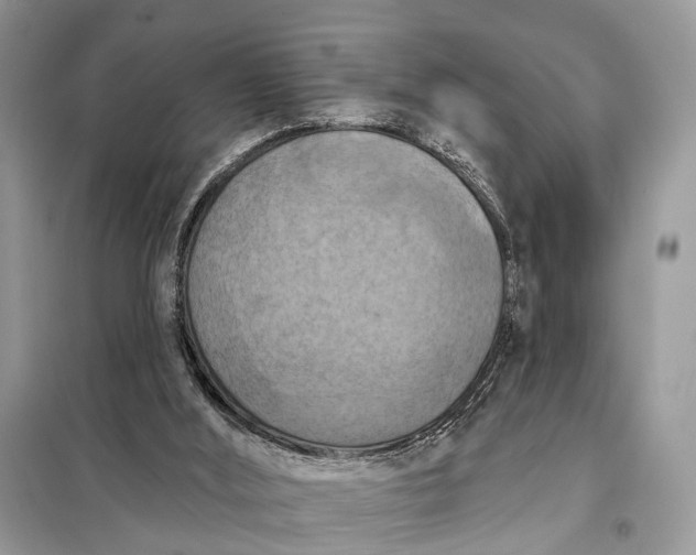 X0000098210012200805081145