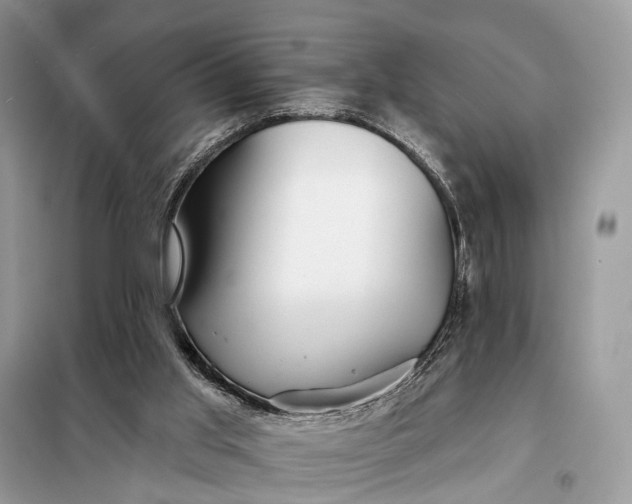 X0000098210013200805081145