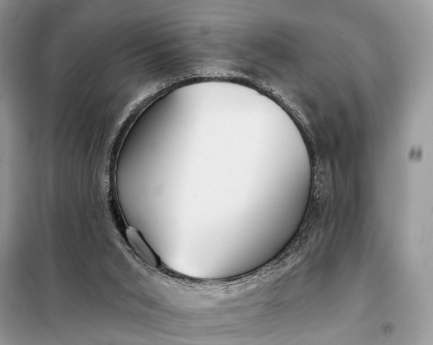 X0000098210015200805081145