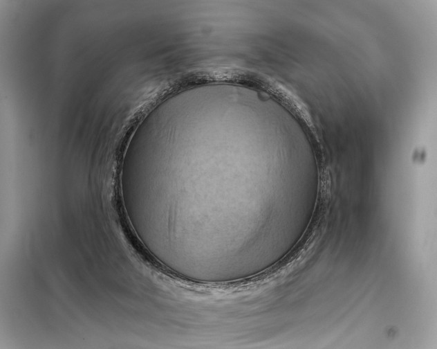 X0000098210018200805081145