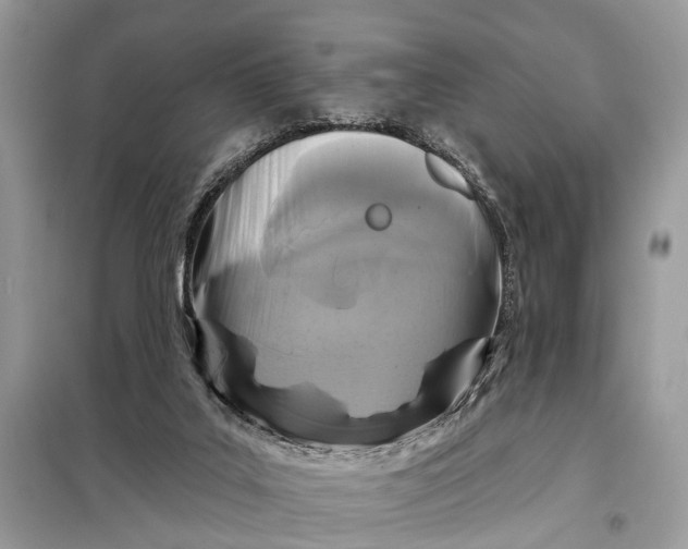 X0000098210019200805081145