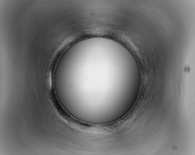 X0000098210020200805081145