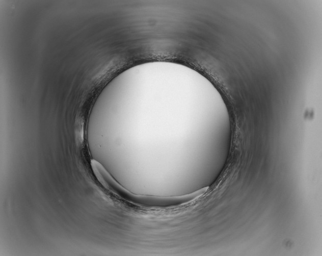 X0000098210021200805081145