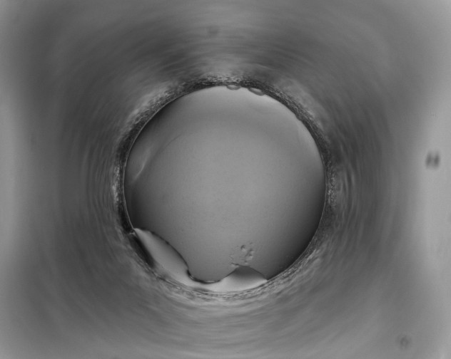 X0000098210023200805081145