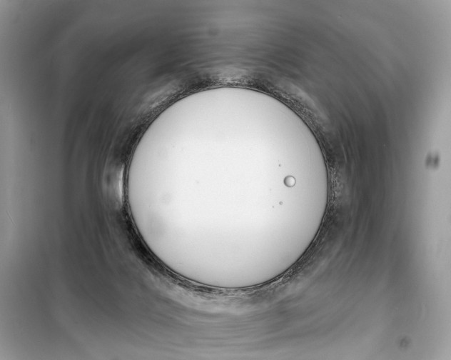 X0000098210028200805081145