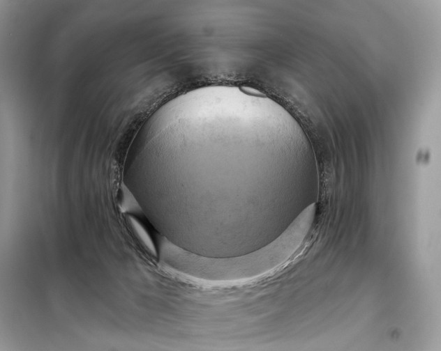 X0000098210029200805081145