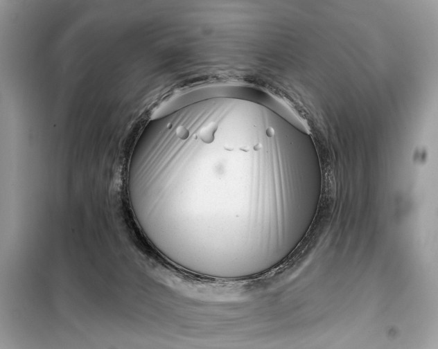 X0000098210032200805081145