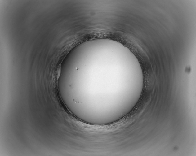 X0000098210034200805081145