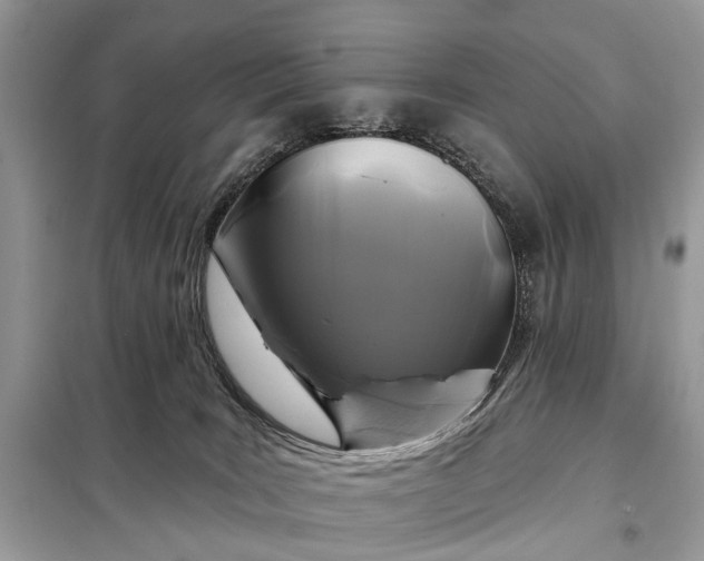 X0000098210035200805081145