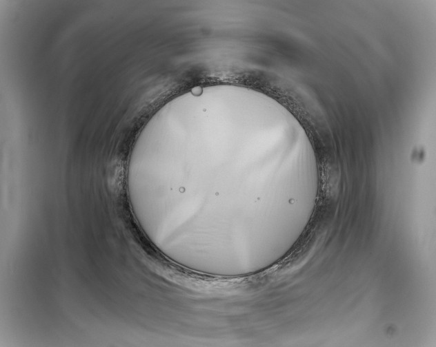 X0000098210036200805081145