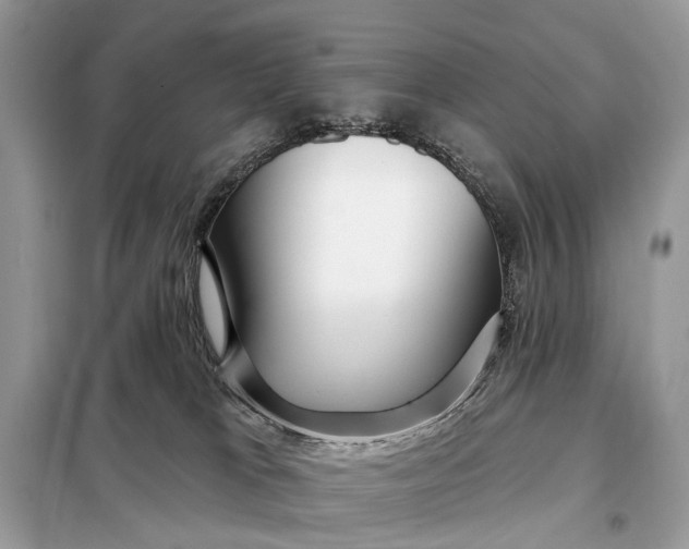 X0000098210037200805081145