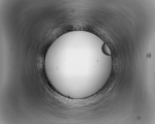 X0000098210038200805081145
