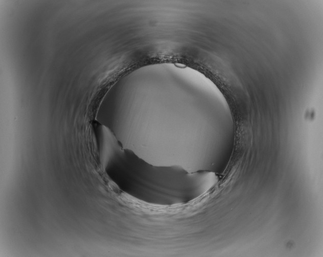 X0000098210039200805081145
