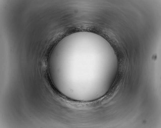 X0000098210040200805081145