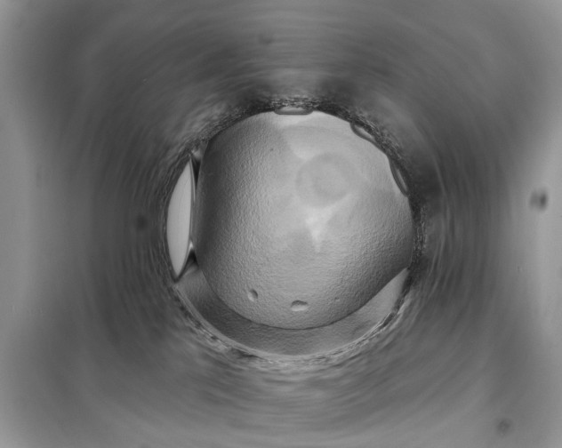 X0000098210041200805081145