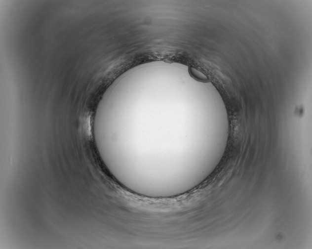 X0000098210042200805081145