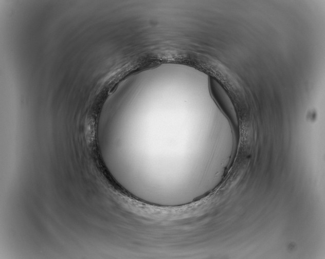 X0000098210043200805081145