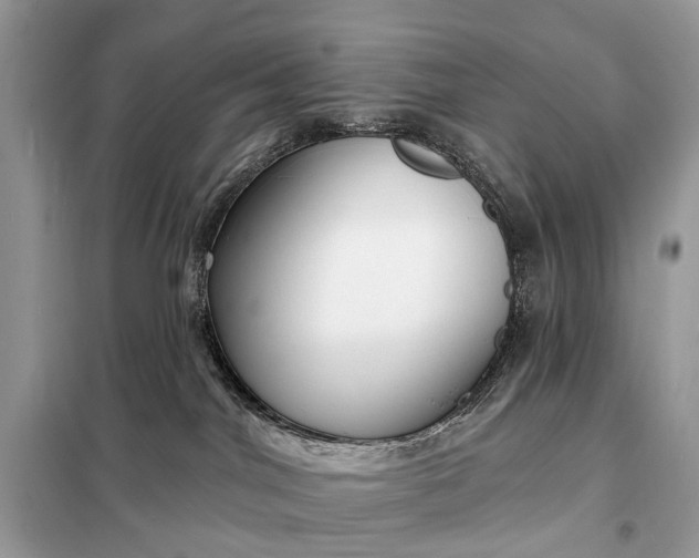 X0000098210044200805081145