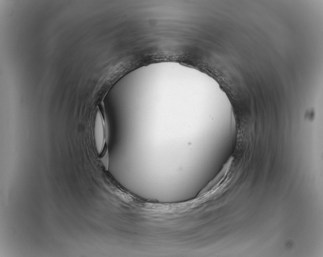 X0000098210045200805081145