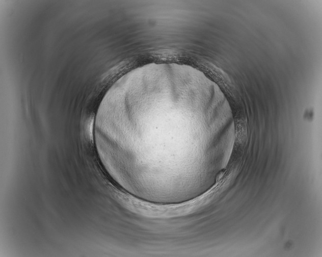X0000098210047200805081145