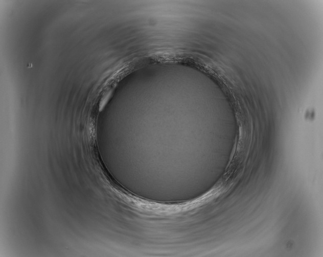 X0000098210048200805081145
