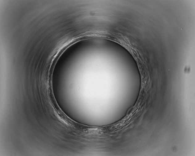 X0000098210050200805081144