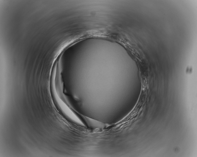X0000098210052200805081144