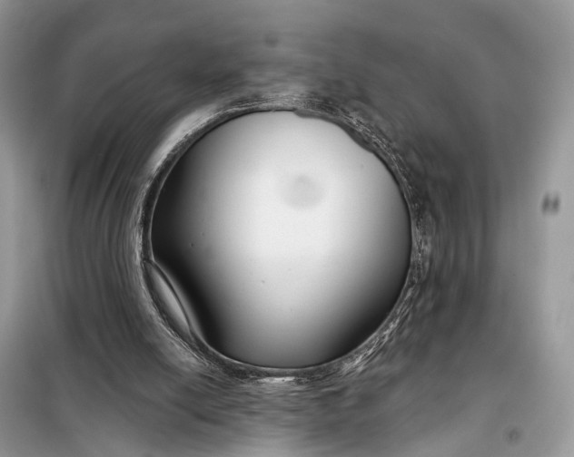 X0000098210054200805081144