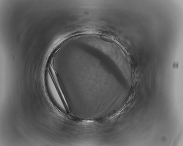 X0000098210055200805081144