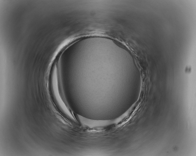 X0000098210056200805081144