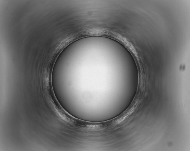 X0000098210057200805081144