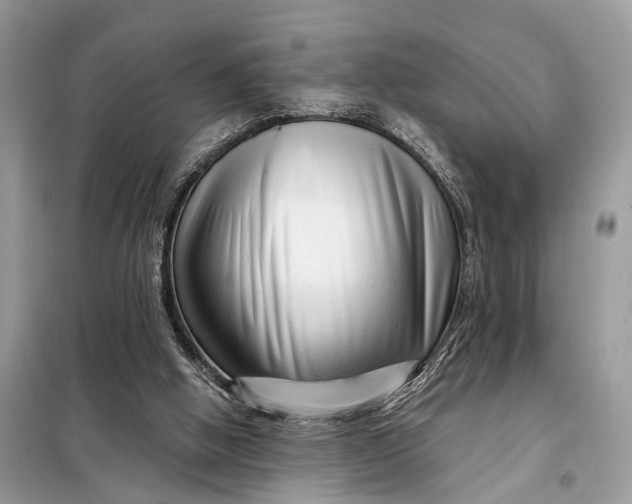 X0000098210058200805081144