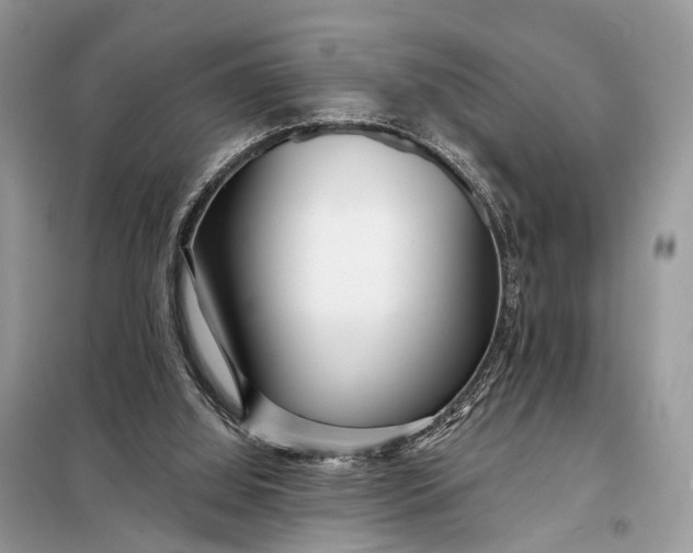 X0000098210060200805081144