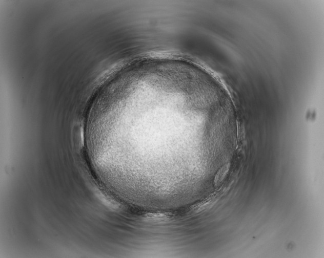 X0000098210061200805081144