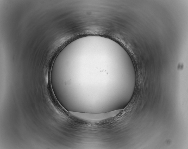 X0000098210062200805081144