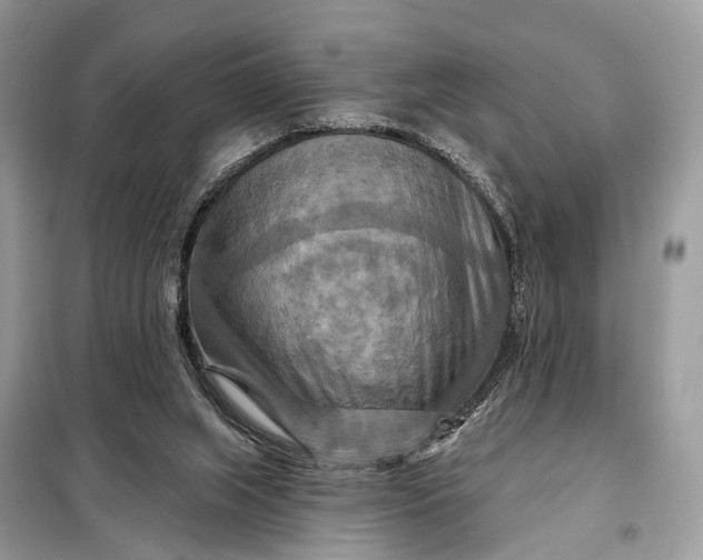 X0000098210063200805081144