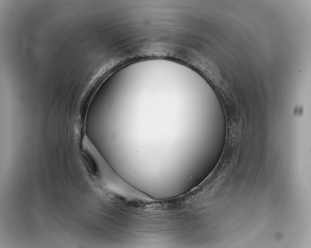 X0000098210064200805081144