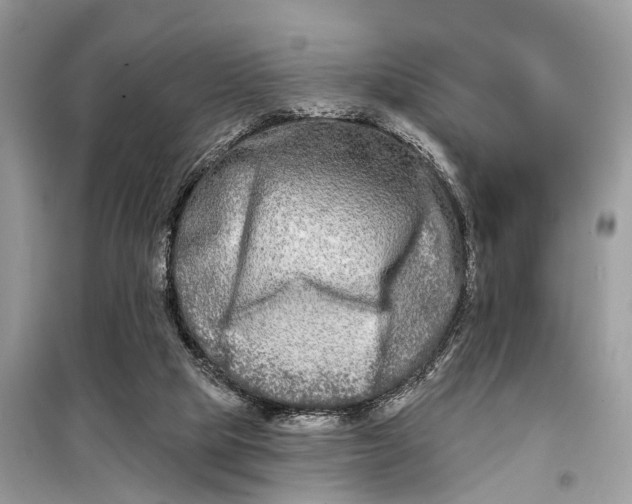 X0000098210065200805081144