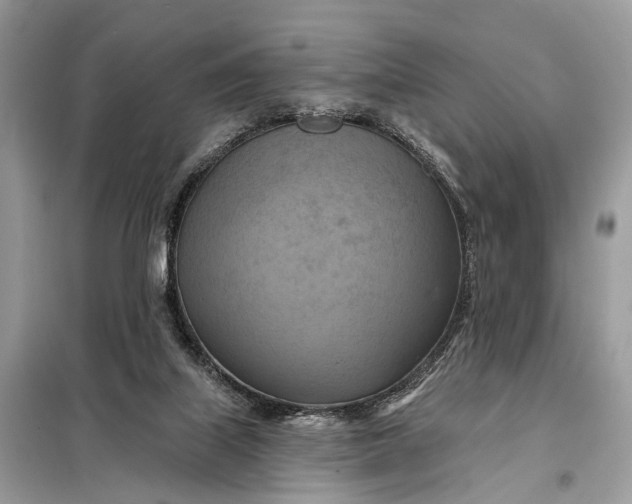 X0000098210067200805081144