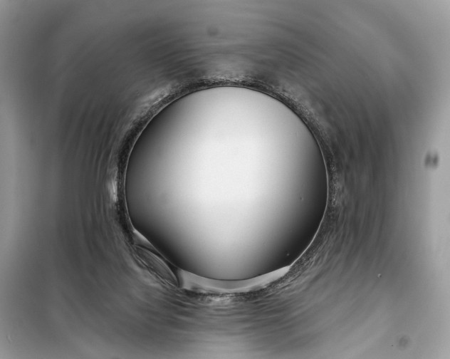 X0000098210068200805081144