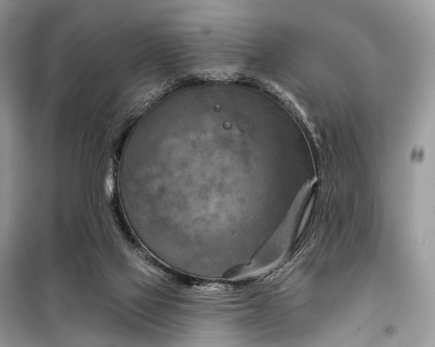 X0000098210069200805081144